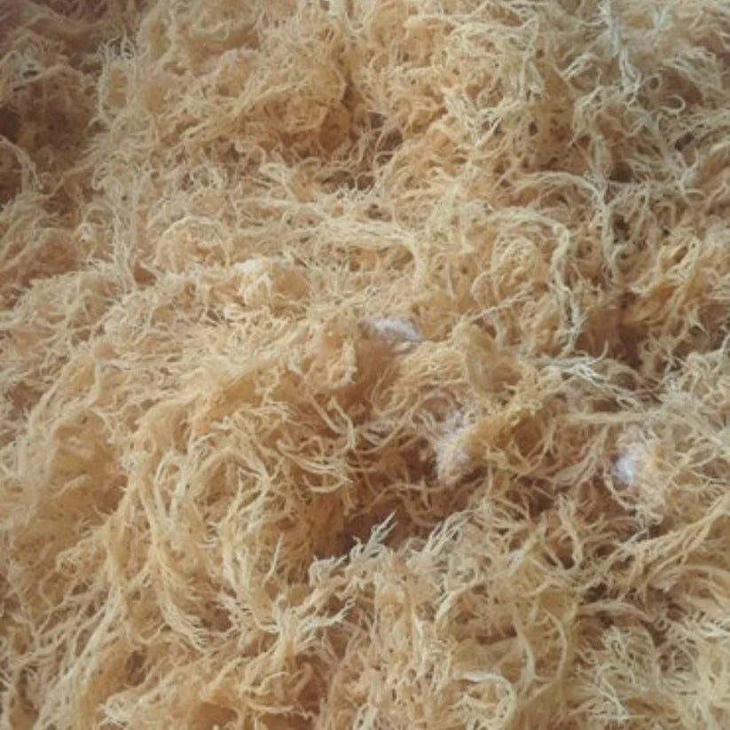 4oz Gold Seamoss Packets