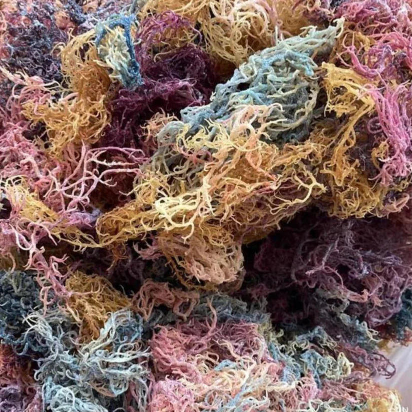 4oz Full Spectrum Seamoss Packets