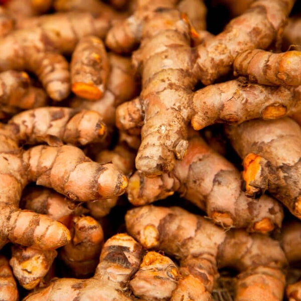Tumeric - 1lb