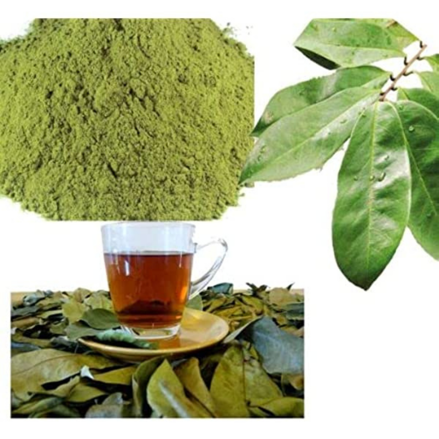 Organic Soursop Whole Leaves (Powder)