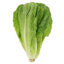 Romain Lettuce - Bulk