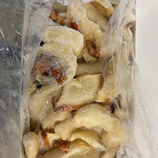 Conch Shell Meat (Lambi)