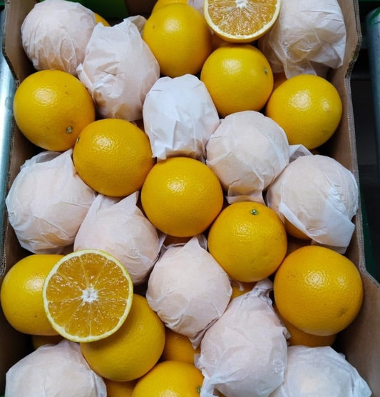 Oranges - 1kg Bag