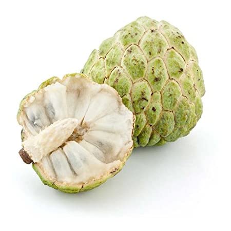 Custard Apple