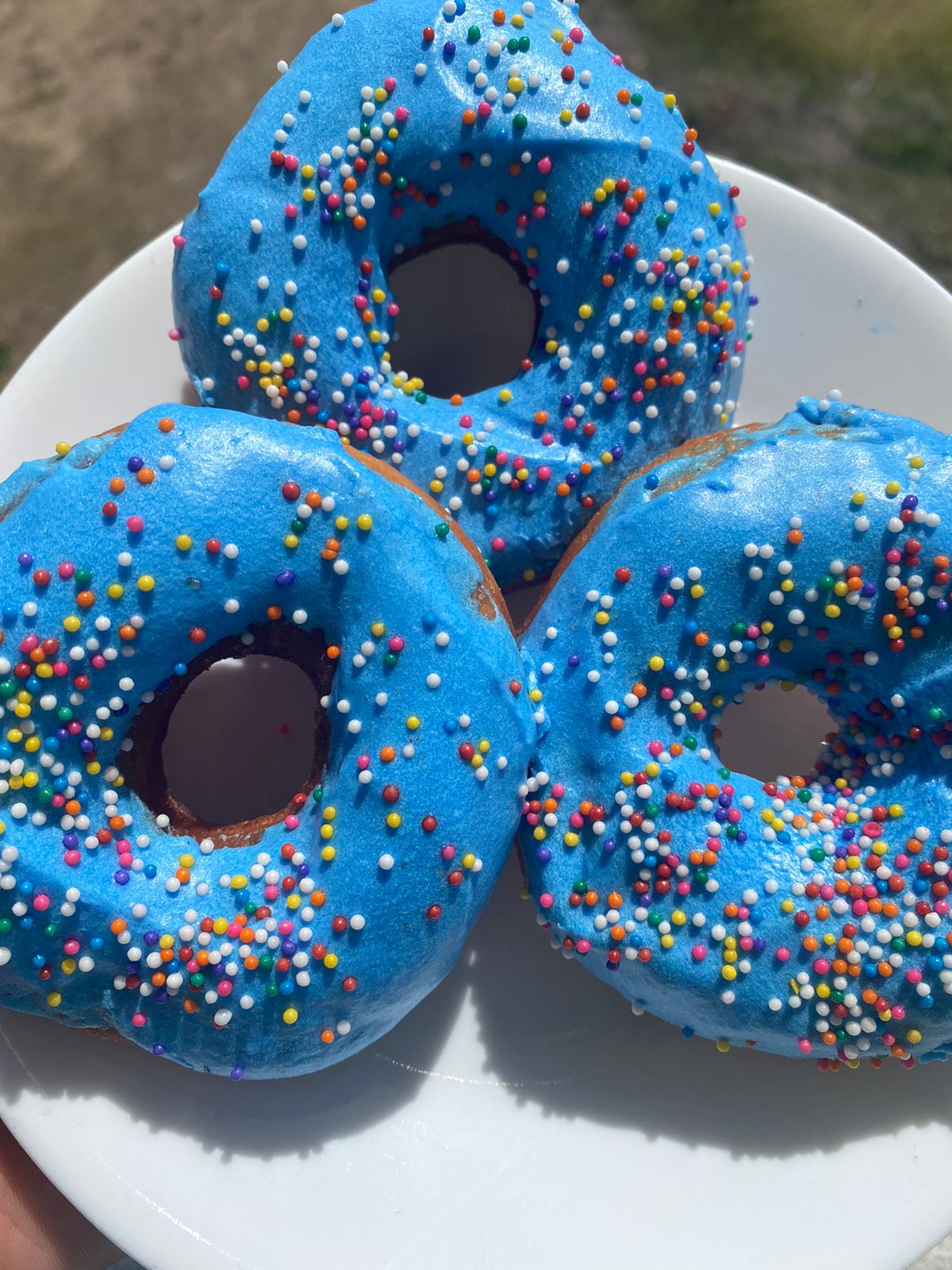 Blue Doughnuts