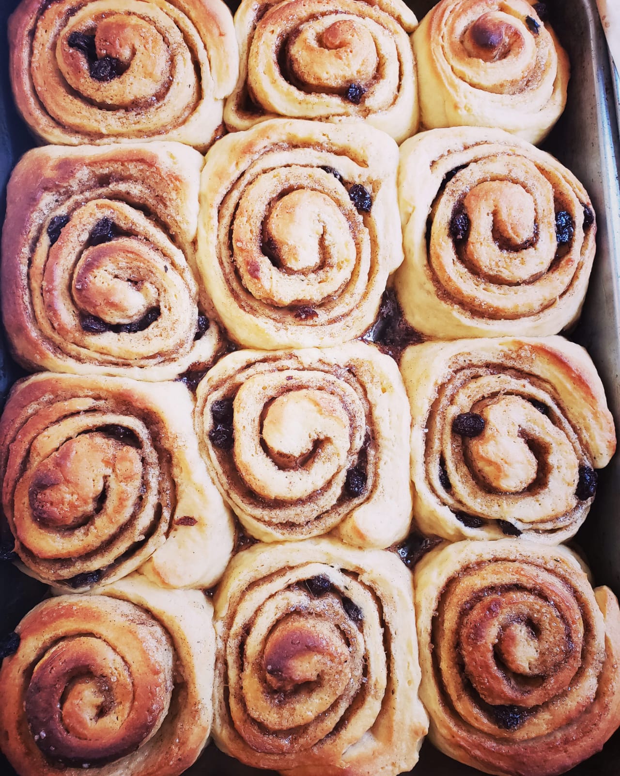 Cinnamon Rolls - Edibles (Specialty)