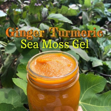 Ginger Turmeric Seamoss Gel - 16oz